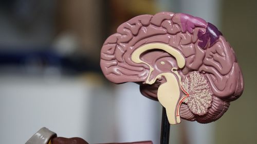 Medical professional discussing Abnormal imaging treatment options
